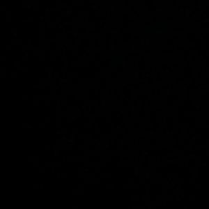 Meet your Posher, Max